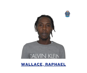 suspect